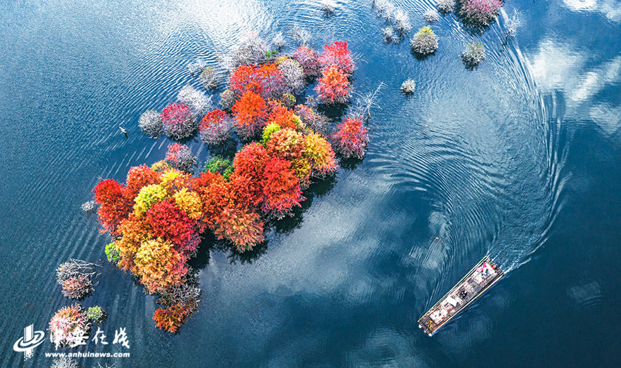 1、红杉林与蓝天碧水相互映衬，呈现出油画般的秋日胜景， (1).jpg
